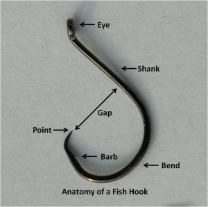 parts-of-fishing-hook-fw-bds